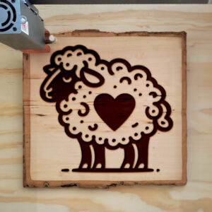 361932_wood-laser-1.jpg