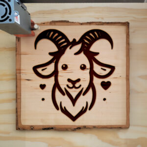 361953_wood-laser-1.jpg