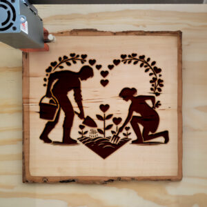 362110_wood-laser-1.jpg