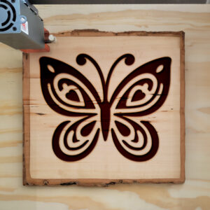 362139_wood-laser-1.jpg