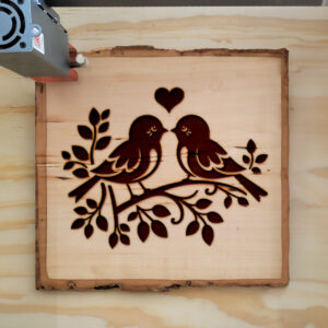 362254_wood-laser-1.jpg