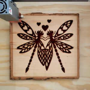 362279_wood-laser-1.jpg