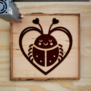 362342_wood-laser-1.jpg