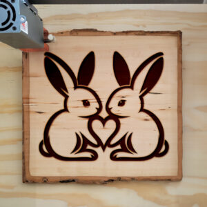 362368_wood-laser-1.jpg