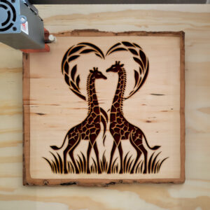 362407_wood-laser-1.jpg