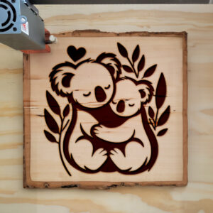 362444_wood-laser-1.jpg