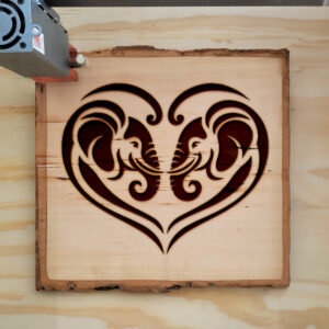 362569_wood-laser-1.jpg