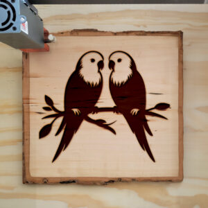 362580_wood-laser-1.jpg