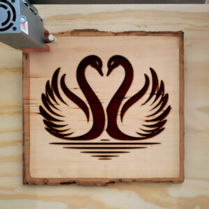 362608_wood-laser-1.jpg