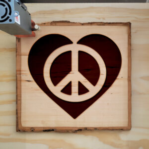 362708_wood-laser-1.jpg