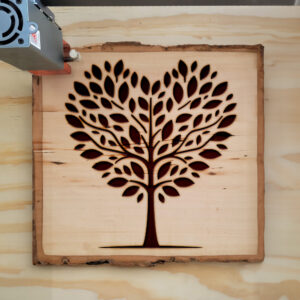 362745_wood-laser-1.jpg