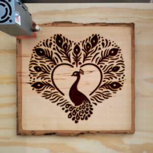 362786_wood-laser-1.jpg