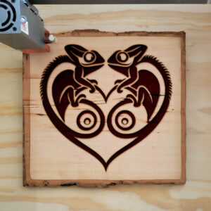 362836_wood-laser-1.jpg