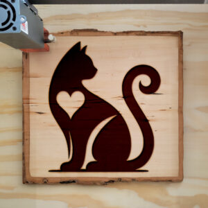 362866_wood-laser-1.jpg