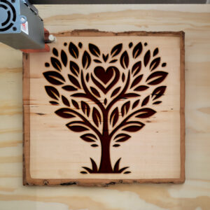 362887_wood-laser-1.jpg