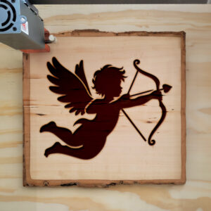 362921_wood-laser-1.jpg
