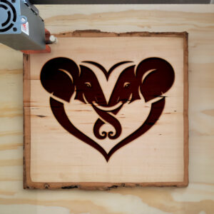 362957_wood-laser-1.jpg