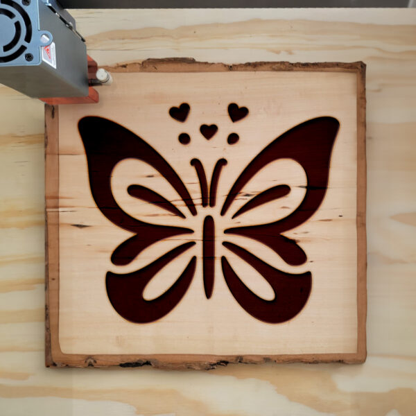373847_wood-laser-1.jpg