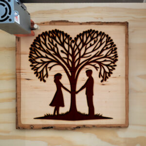 373859_wood-laser-1.jpg