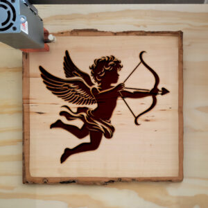 373941_wood-laser-1.jpg