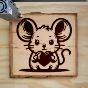 374505_wood-laser-1.jpg