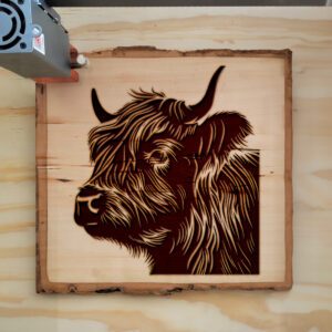 374538_wood-laser-1.jpg
