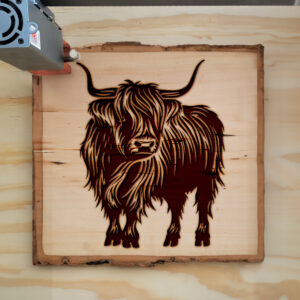 377315_wood-laser-1.jpg