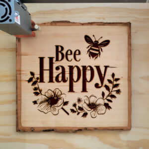 377320_wood-laser-1.jpg
