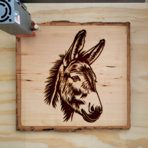 377398_wood-laser-1.jpg