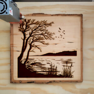 377406_wood-laser-1.jpg