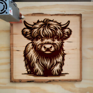378181_wood-laser-1.jpg