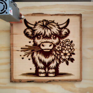 378204_wood-laser-1.jpg