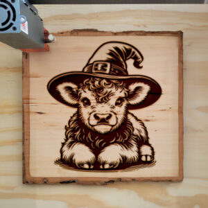 378371_wood-laser-1.jpg