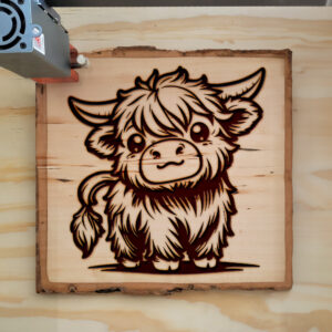 378423_wood-laser-1.jpg