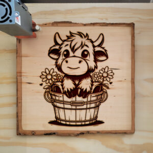 378436_wood-laser-1.jpg