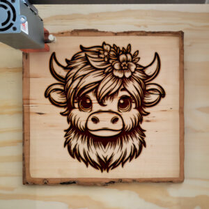 378581_wood-laser-1.jpg
