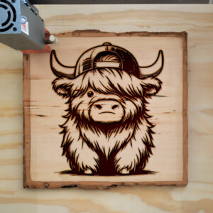 378594_wood-laser-1.jpg