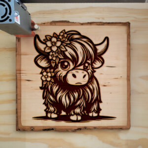 378602_wood-laser-1.jpg