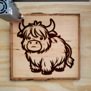 378643_wood-laser-1.jpg