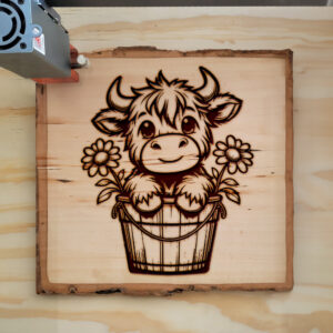 378645_wood-laser-1.jpg