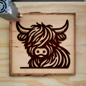 378676_wood-laser-1.jpg
