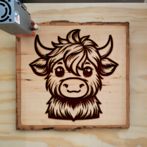 378748_wood-laser-1.jpg