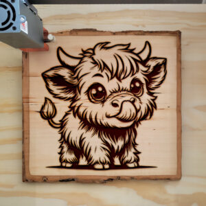 379502_wood-laser-1.jpg