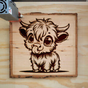 379509_wood-laser-1.jpg