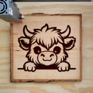 379514_wood-laser-1.jpg