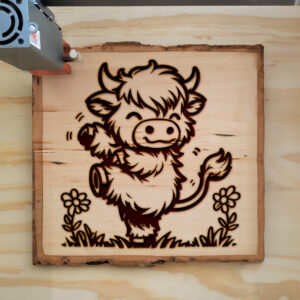 379614_wood-laser-1.jpg