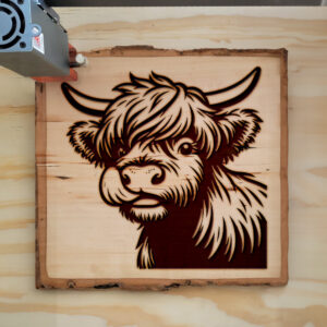 379618_wood-laser-1.jpg
