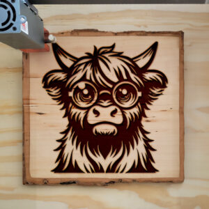 379636_wood-laser-1.jpg