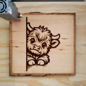 379642_wood-laser-1.jpg