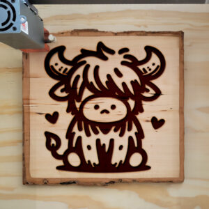 379644_wood-laser-1.jpg